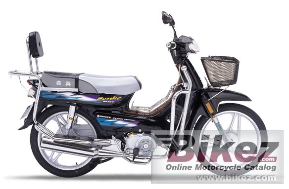 Big Senke sk100 picture and wallpaper from Bikez.com
